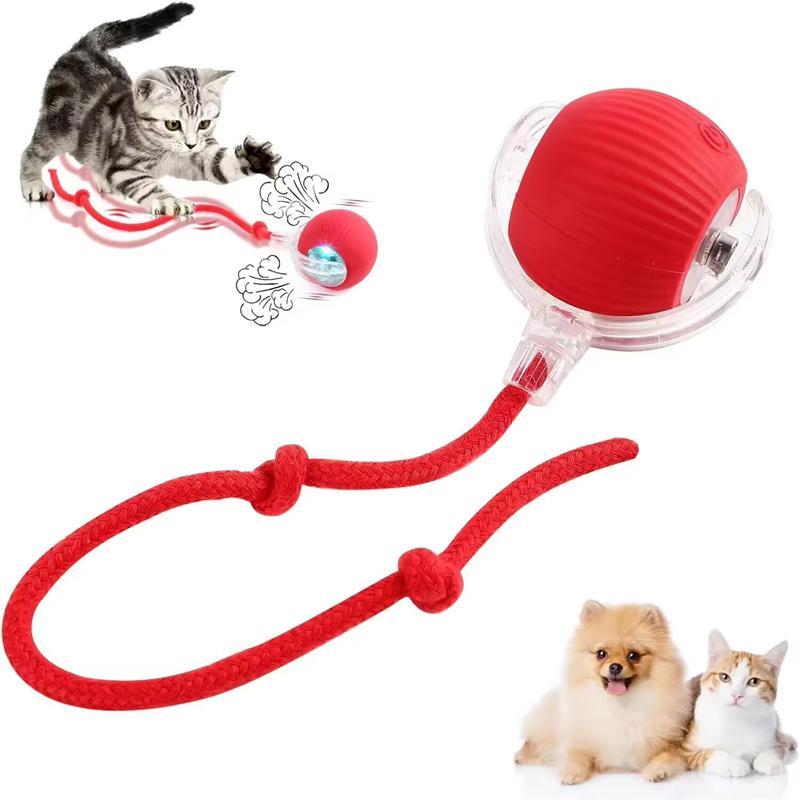 Pet Electric Ball