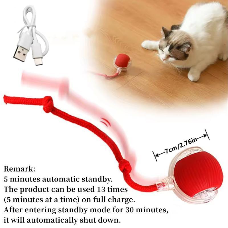 Pet Electric Ball