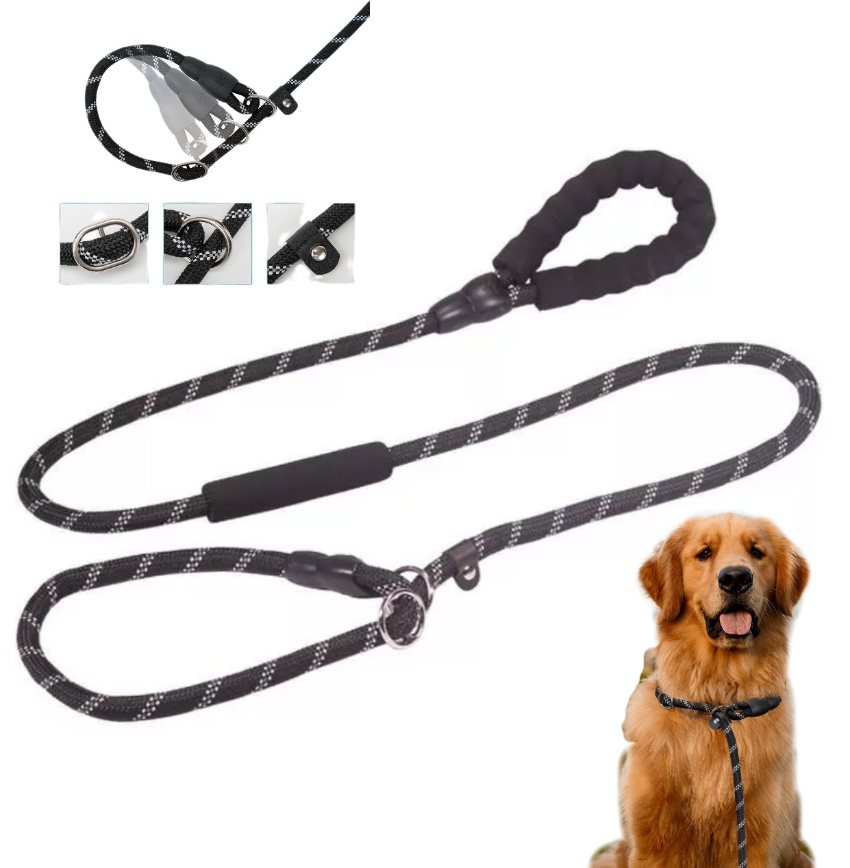 Pet Training Leash