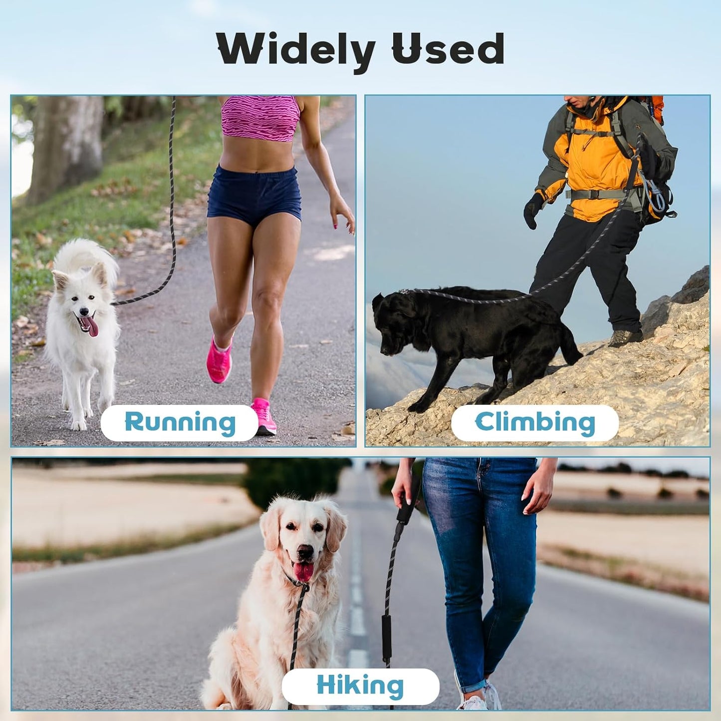 Pet Training Leash