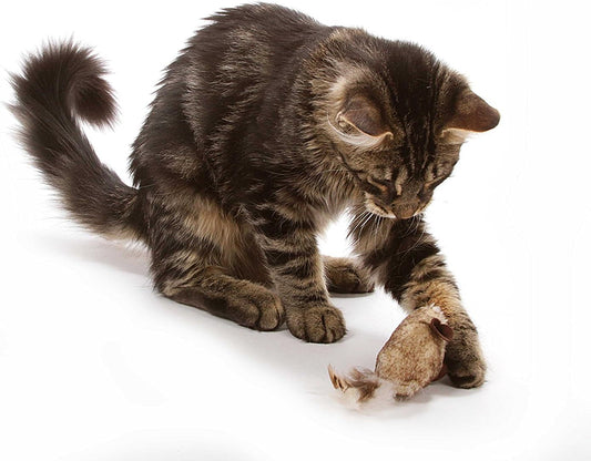 Lifelike Mouse Cat Toy