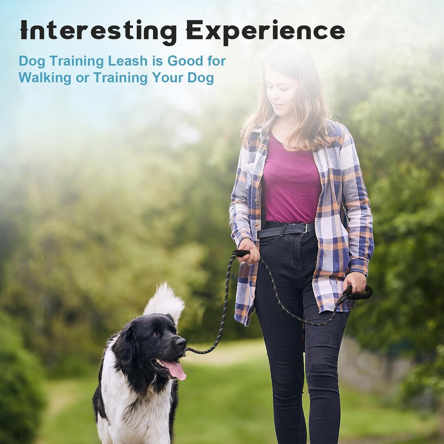 Pet Training Leash