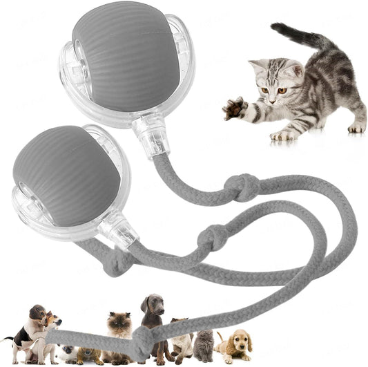 Pet Electric Ball