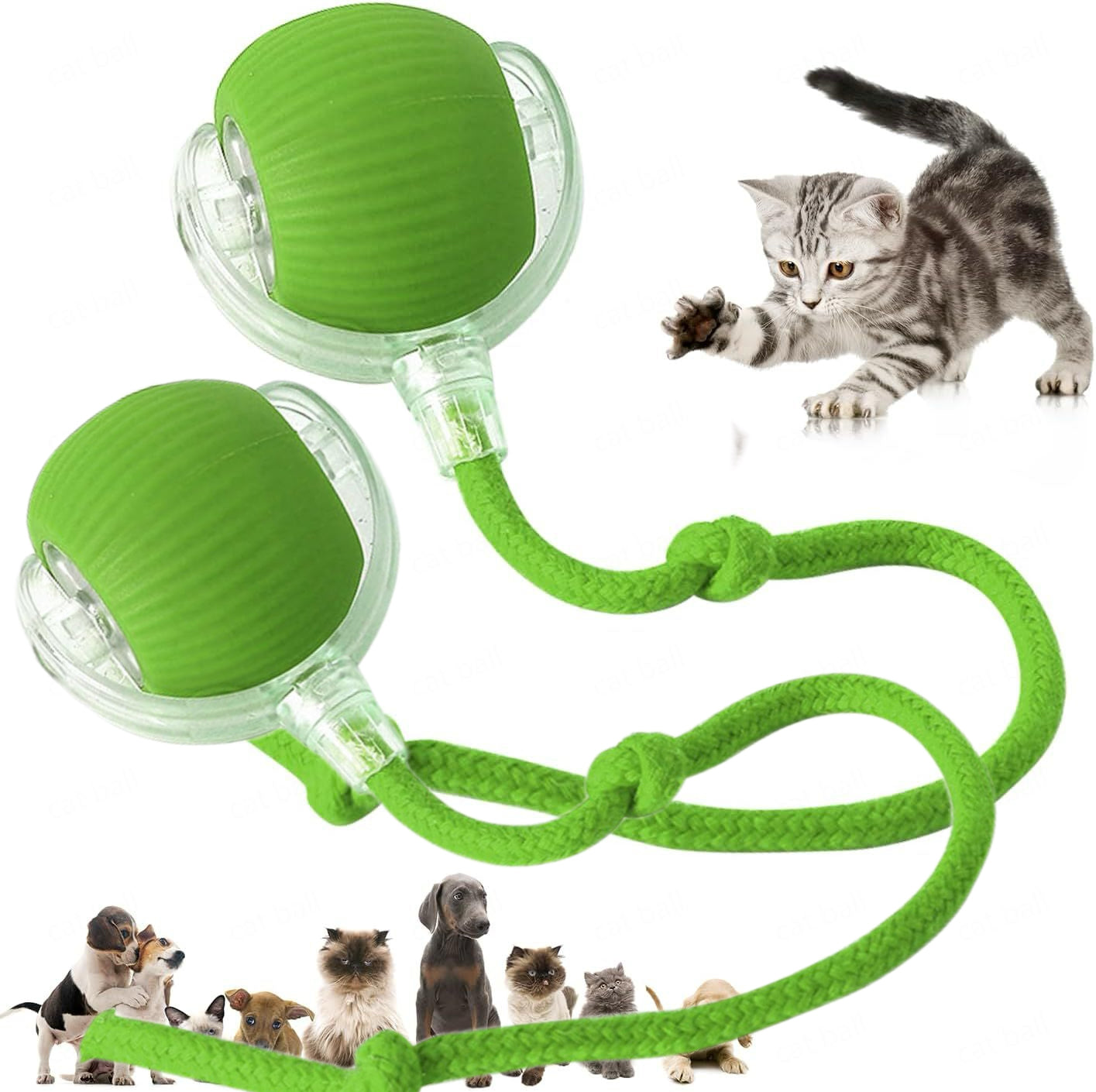 Pet Electric Ball