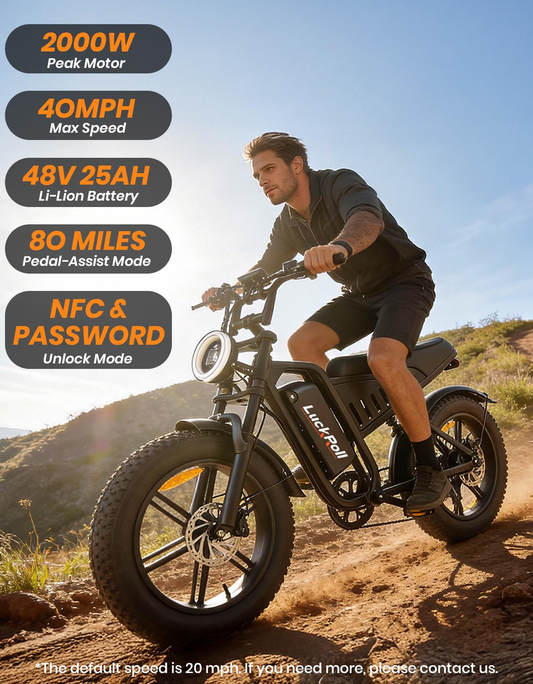 Electric Bike 1